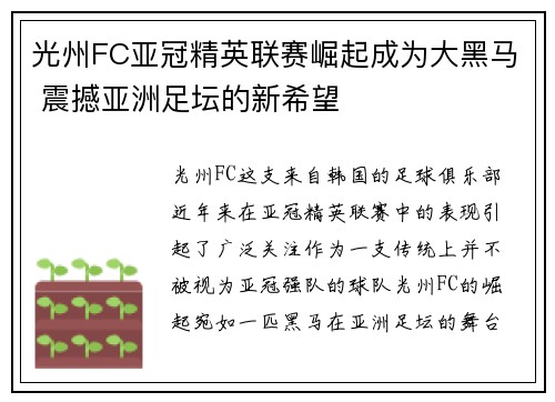 光州FC亚冠精英联赛崛起成为大黑马 震撼亚洲足坛的新希望